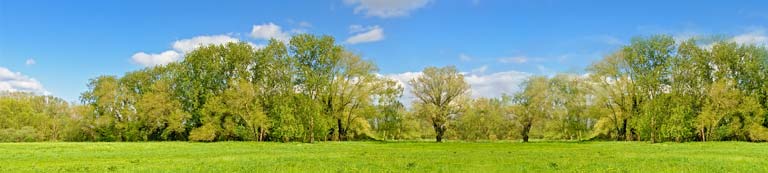 Natuur en Bos