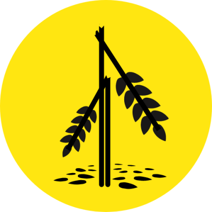 Icoon Schade Pictogram met geknakte graanstengel